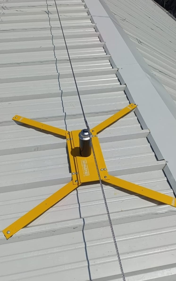 Proyecto Longdyes 2
